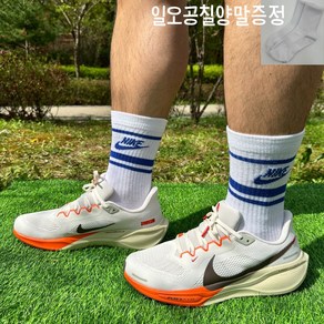 나이키 남성 에어 줌 페가수스 41 스네이크 뱀의해 로드 런닝화 조깅화 쿠셔닝 운동화 세이프티 오렌지 [일오공칠양말증정]