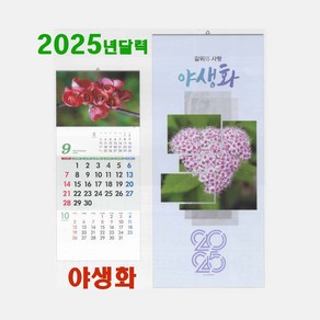 2025 달력 길위에사랑1-24 야생화달력 들꽃 꽃 커플 달력 디자인 포토캘린더