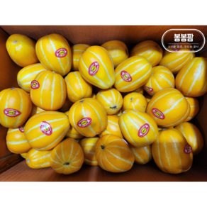 [성주 직송] 못난이 참외 초특가 당도선별 혼합과(랜덤과), 1박스, 10kg(박스포함)