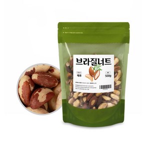 SM솔루션 브라질너트 500g 1팩, 1개