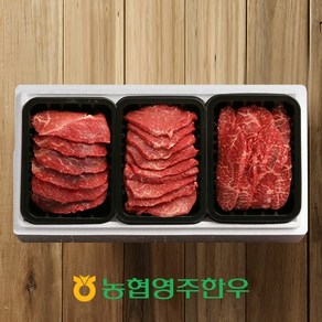 [영주한우]1+ 모듬구이 한판 1호 /총600g (모듬구이x3)