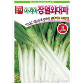 아시아종묘 씨앗 파 아시아장열외대파 80g, 1개