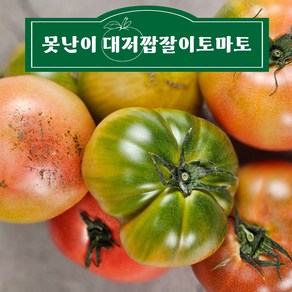 [부산 대저동] 단짠단짠 못난이 대저토마토 짭짤이토마토 2.5키로 쥬스용, 1박스, 2.5kg(크기혼합)