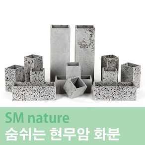 SM 현무암 숨쉬는 화분 [12x8x6cm] 직사각, 1개