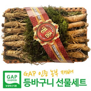 [GAP 농부 재배 인삼] 6-5년근 수삼 7호(600g 10-13뿌리) 인삼선물세트 엄선된 인삼만포장 등바구니+고급케이스+보자기 3중포장 설 명절 이바지용, 1세트, 600g