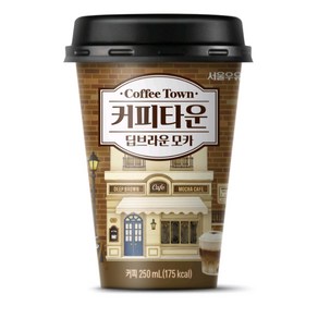 골든싸이]커피타운_딥브라운 모카 250ml 10개