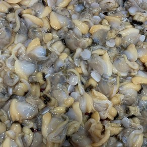 싱싱햇 국산 바지락살 깐바지락 제철 해감 바지락, 500g, 1세트, 500g