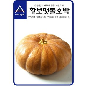 아시아종묘/호박씨앗종자 황보맷돌 호박 (25립), 1개