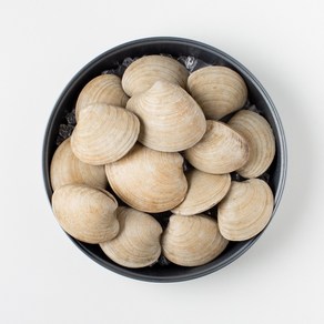 자연산 백합 생합 대합 돌조개 1kg(8미내외)