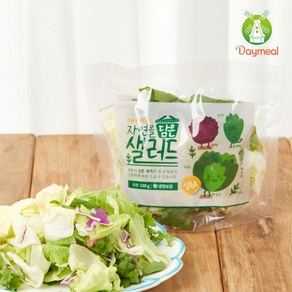 데이밀 자연을담은 샐러드 실속A 100g x 10팩 국내산 야채믹스, 레드발사믹드레싱 10개, 10개