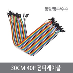 싸이피아 30CM 점퍼케이블 40P 암암 암수 수수 점퍼선