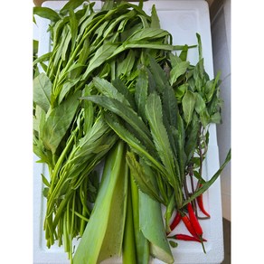 Canh chua 500g 세트/아시아 농장 송소희, 1개