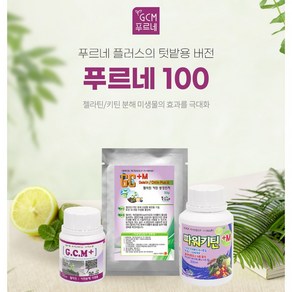 GCM 미생물 농법 푸르네 100L 배양용 세트 - 텃밭 가정 버전 텃밭미생물, 1개, 400g