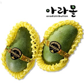 아라몰 베트남 베이비 그린망고 (Vietnam Baby mango), 1박스, 1kg(4과내외)