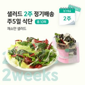 [포켓샐러드] 2주 정기배송 주5일 (채소만 샐러드 5종 5팩), 100g, 10개