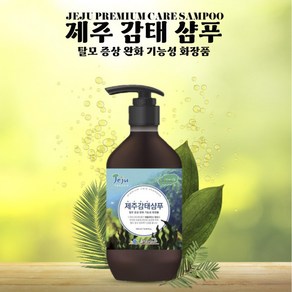 제주감태샴푸 감태샴푸 제주샴푸, 1개, 500ml