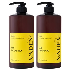 바디브 노이 샴푸 시트러스 1000ml, 2개