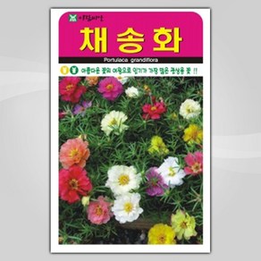 슬로시 꽃 씨앗 고급 꽃씨 야생화 허브씨 종자 모음, 1개