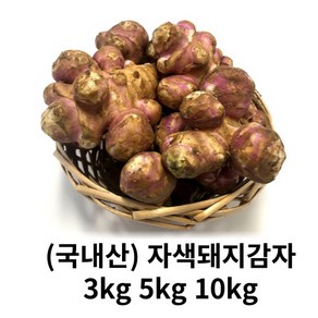 자색돼지감자 3kg 5kg 10kg국내산 산지직송 자색감자 햇 돼지감자 생돼지감자 뚱딴지감자 말린차 감자차 즙 칩 분말 가능, 1박스