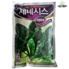 시금치 씨앗 봄 가을 겨울 월동시금치 제네시스500g, 1개