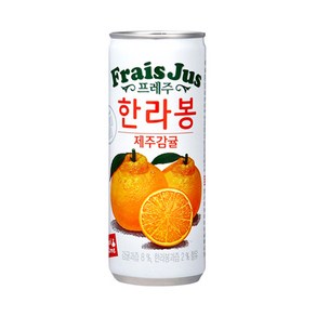 프레주 한라봉 제주감귤 240ml 60캔