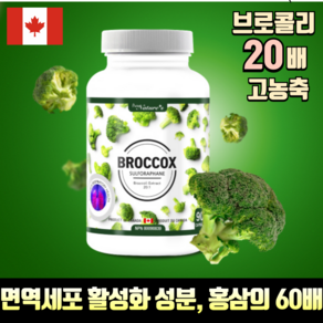 헬시마트 캐나다 정품 20배 고농축 슈퍼푸드 브로콜리 추출물 설포라판 500mg, 1개, 90정