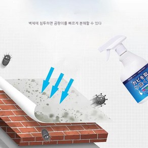 고고윙 화장실 곰팡이제거제 타일 벽 가정용 곰팡이 제거제 강력 곰팡이 제거제, 1개, 500ml