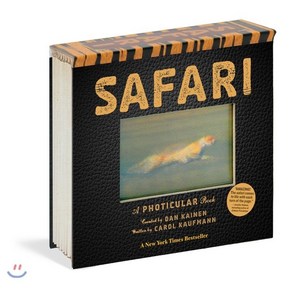 [해외도서] Safai : A Photicula Book, Wokman Publishing