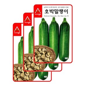 아시아종묘 씨앗 애호박 호박말랭이 20립 3ea, 3개