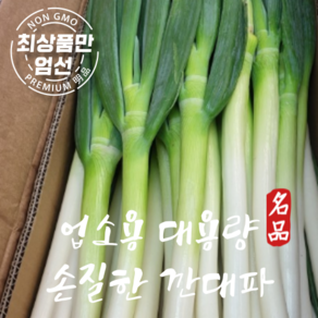 신신마트 업소용 대용량 대파 깐대파, 1개, 5kg