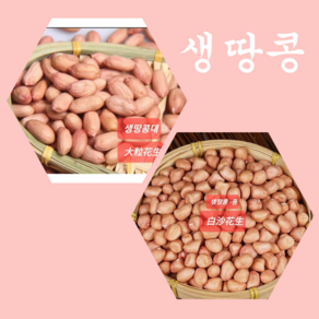 [신중국식품]생땅콩 중국산생땅콩큰알(대) 성화성 생땅콩중(바이싸)