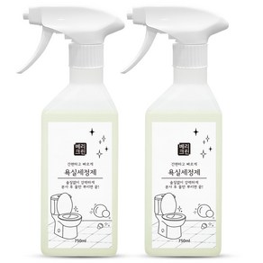 베리크린 욕실세정제 750ml 화장실 변기 욕실 청소왕 곰팡이제거, 2개