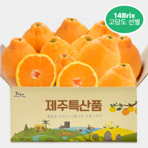 제주특산품 14bix 한라봉 고당도 봉우리 한라봉, 1박스, 2kg(가정용)