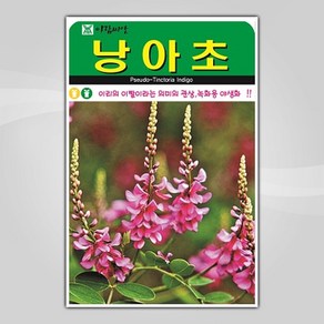 슬로시 꽃 씨앗 고급 꽃씨 야생화 허브씨 종자 모음, 1개