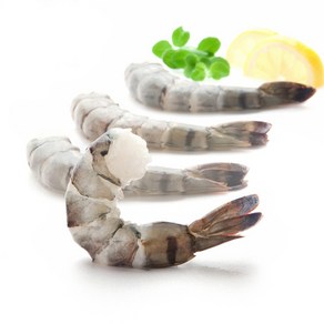 [마칸] 생 칵테일새우 900g 택일 점보 특대 대 중 감바스 새우장용, 1개, 900g 중 77미 내외