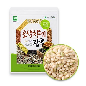 성현물산 국산 잡곡 찰현미, 1개, 1kg