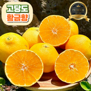 [고당도] 황금향 15bix 제주 산지직송, 1개, 가정용 3kg