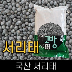 고방 . 국산 . 검정콩(서리태) . 1kg . 2024년산 . 묶음배송가능, 1개