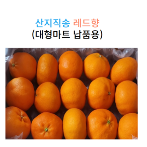 제주도 레드향 특품 가정용 대과, 1박스, 01. 2kg 중소과 가정용 (12과내외)