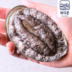 바다온 소상공인관 완도활전복 11-12미 1kg(마리당83g내외) [산소팩 무료배송], 1개, (6호) 11-12미1kg