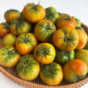 [농장배송] 농협인증 짭짤이 토마토 2.5kg (고당도 선별), L 사이즈, 1개