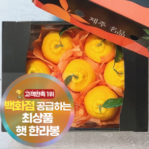 [백화점공급] 최상품 SS등급 제주 한라봉 과일 선물세트 가방증정, 1개, 1.5kg(명품 소과)