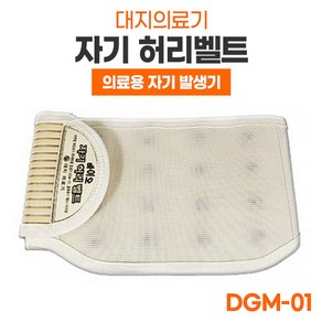 [대지의료기] 국산 의료용 자기발생기 허리보호대 DGM-01, 대형 (110cm), 1개