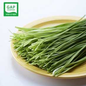 GAP인증 대상 받은 울산 명품 부추 500g, 1개