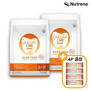 원데이케어 덴탈껌 12p, 15g, 24개, 유산균