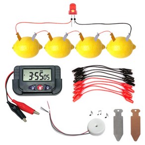 과일전지 재료선택 구매 멜로디버저 디지털시계 구리전극 아연전극, 5.빨강 5mm고휘도LED전구 20개
