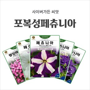 포복성꽃씨 울타리 정원 걸이화분, 10. 페츄니아 매드니스 화이트 20립, 1개