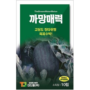 더드림 [까망매력] 수박씨앗 수박종자 / 고당도 장타원형 흑피 수박씨, 1개