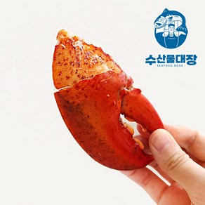 랍스터 너클 집게발 900g 캐나다 자숙 랍스타 집게 집게살, 1개