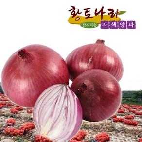 (황토나라)전남 무안 햇자색양파 3kg. 5kg 10kg